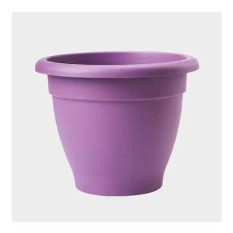 Stewarts 33cm Lavender Essentials Plastic Planter - Old Railway Line Garden Centre