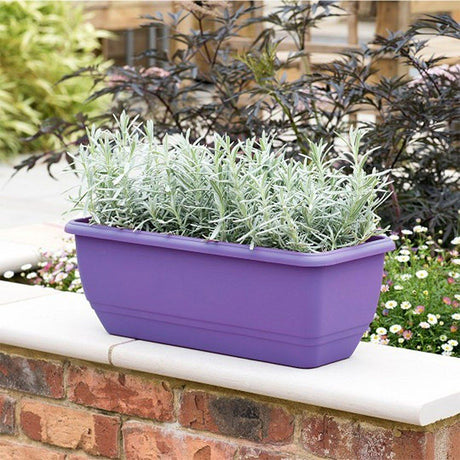 Stewarts 50cm Cornflower Blue Plastic Garden Patio Trough Planter - Old Railway Line Garden Centre