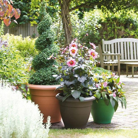 Stewarts 65cm Green Palladian Garden Planter - Old Railway Line Garden Centre