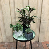 Table Round 45cm Green - Old Railway Line Garden Centre