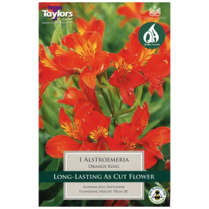 Taylors 1 Alstroemeria 'Orange King' Bare Root