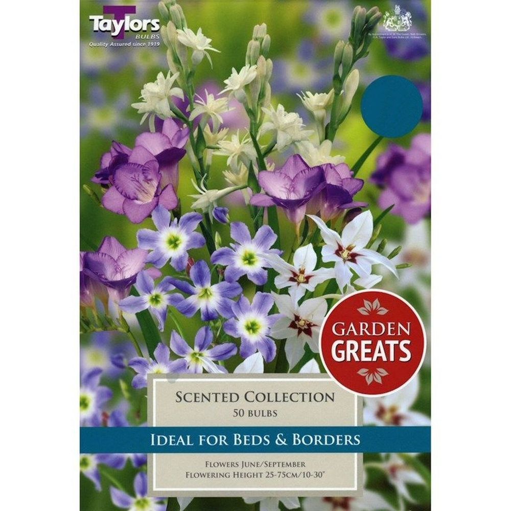 Taylors Scented Garden Bulbs Collection (50 pack)
