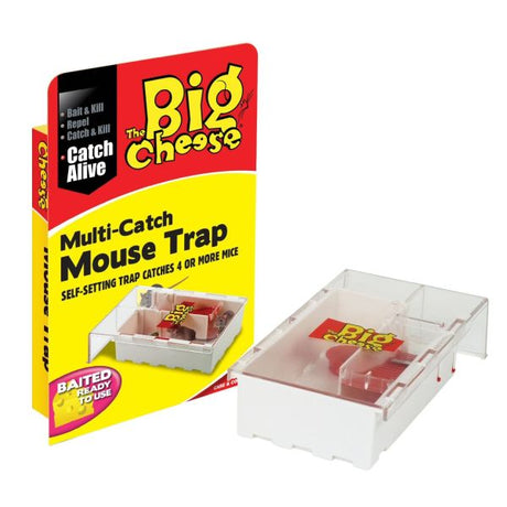 The Big Cheese Multi - Catch Mouse Trap - Old Railway Line Garden Centre