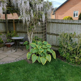 The Good Life 1.2 x 1.8m Natural Jute Rope Trellis - Old Railway Line Garden Centre