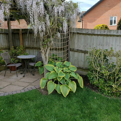 The Good Life 1.2 x 1.8m Natural Jute Rope Trellis - Old Railway Line Garden Centre