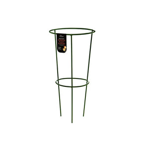 Tom Chambers 60cm Large Urban Garden Conical Plant Support - Old Railway Line Garden Centre