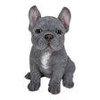 Vivid Arts 16cm Blue French Bulldog - PP - BFRB - F - Old Railway Line Garden Centre