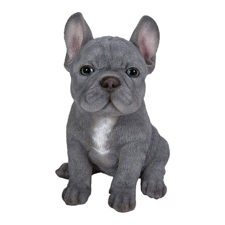 Vivid Arts 16cm Blue French Bulldog - PP - BFRB - F - Old Railway Line Garden Centre