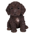 Vivid Arts 16cm Chocolate Cockapoo Puppy - PP - CKP7 - F - Old Railway Line Garden Centre