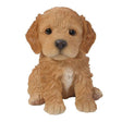 Vivid Arts 16cm Pet Pals Brown Cockapoo Puppy - PP - CKP5 - Old Railway Line Garden Centre