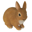 Vivid Arts 16cm Young Sitting Rabbit - XRL - RB20 - E - Old Railway Line Garden Centre