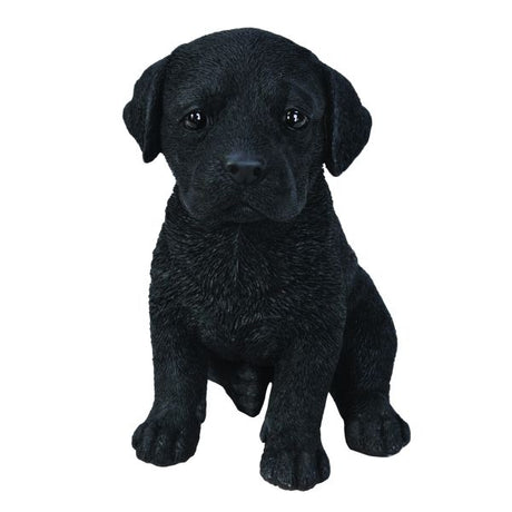 Vivid Arts 17cm Black Labrador Puppy Pet Pals - PP - BLAB - Old Railway Line Garden Centre