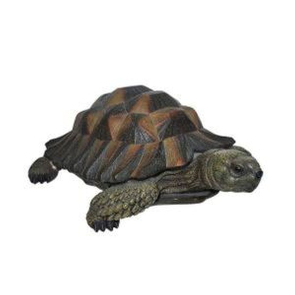 Vivid Arts 17cm Brown Tortoise - Old Railway Line Garden Centre
