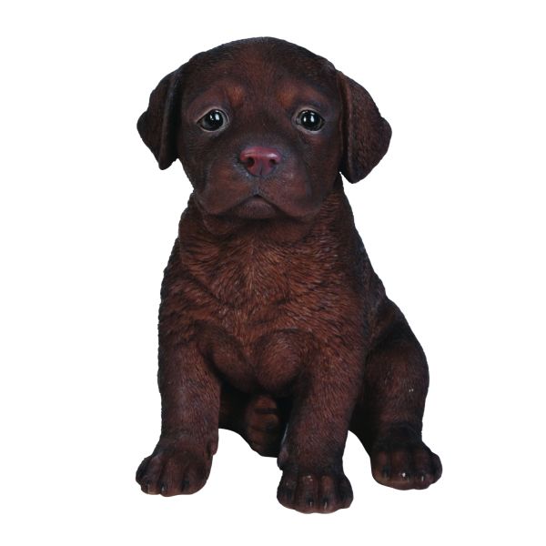 Vivid Arts 17cm Chocolate Labrador Puppy Pet Pals - Old Railway Line Garden Centre