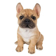 Vivid Arts 17cm Golden French Bulldog Puppy Pet Pals - Old Railway Line Garden Centre