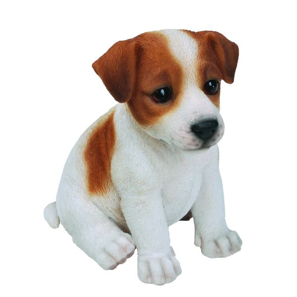 Vivid Arts 17cm Jack Russell Puppy Pet Pals - PP - JACK - F - Old Railway Line Garden Centre