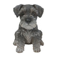 Vivid Arts 17cm Mini Schnauzer Puppy Pet Pals - PP - MINS - Old Railway Line Garden Centre