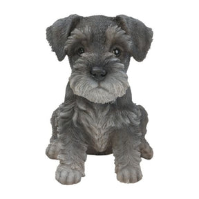 Vivid Arts 17cm Mini Schnauzer Puppy Pet Pals - PP - MINS - Old Railway Line Garden Centre