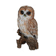 Vivid Arts 17cm Tawny Owl Resin - XRL - TWNY - F - Old Railway Line Garden Centre
