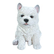 Vivid Arts 17cm West Highland Puppy Pet Pals - Old Railway Line Garden Centre