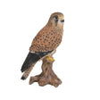 Vivid Arts 21.5cm Kestrel Standing on Tree Trunk - Old Railway Line Garden Centre