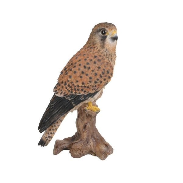 Vivid Arts 21.5cm Kestrel Standing on Tree Trunk - Old Railway Line Garden Centre