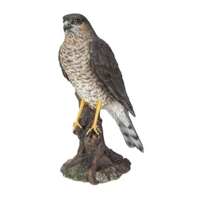 Vivid Arts 22cm Sparrowhawk - XRL - SHAW - D - Old Railway Line Garden Centre