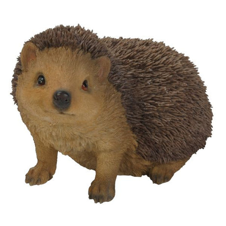 Vivid Arts 23cm Hedgehog - XRL - HHOG - D - Old Railway Line Garden Centre