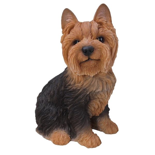 Vivid Arts 23cm Yorkshire Terrier - XRL - YKTS - B - Old Railway Line Garden Centre