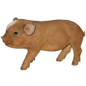 Vivid Arts 24cm Micro Pig - PP - MP03 - D - Old Railway Line Garden Centre