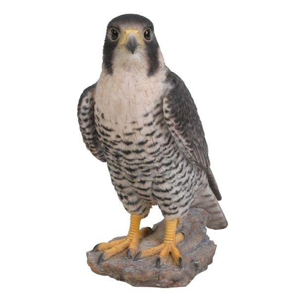 Vivid Arts 25cm Peregrine Falcon - XRL - PFAL - B - Old Railway Line Garden Centre