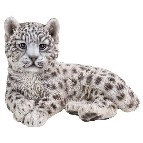 Vivid Arts 26cm Snow Leopard Cub - XRL - SLEP - B - Old Railway Line Garden Centre