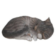 Vivid Arts 27cm Sleeping Tabby Cat - XRL - ZC33 - B - Old Railway Line Garden Centre