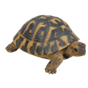 Vivid Arts 28cm Hermann Tortoise - XRL - HERM - B - Old Railway Line Garden Centre