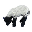 Vivid Arts 31cm Black / White Standing Lamb - XRL - BLLB - D - Old Railway Line Garden Centre