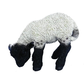 Vivid Arts 31cm Black / White Standing Lamb - XRL - BLLB - D - Old Railway Line Garden Centre