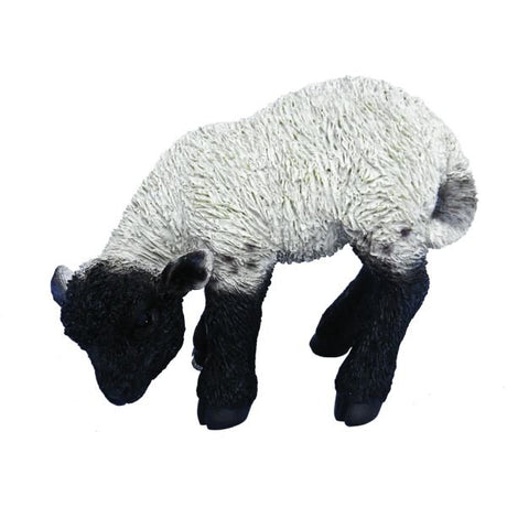 Vivid Arts 31cm Black / White Standing Lamb - XRL - BLLB - D - Old Railway Line Garden Centre
