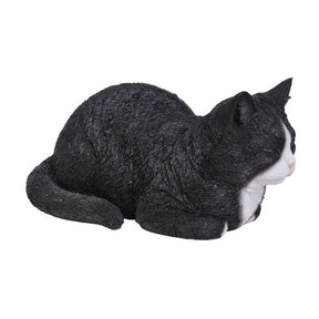 Vivid Arts 34.5cm Black & White Dreaming Cat - XRL - DC29 - Old Railway Line Garden Centre