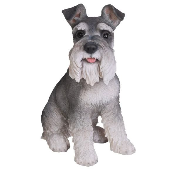 Vivid Arts 35cm Miniature Schnauzer - XRL - MINS - B - Old Railway Line Garden Centre