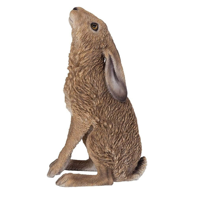 Vivid Arts 35cm Moon Gazing Hare - XRL - HR01 - A - Old Railway Line Garden Centre