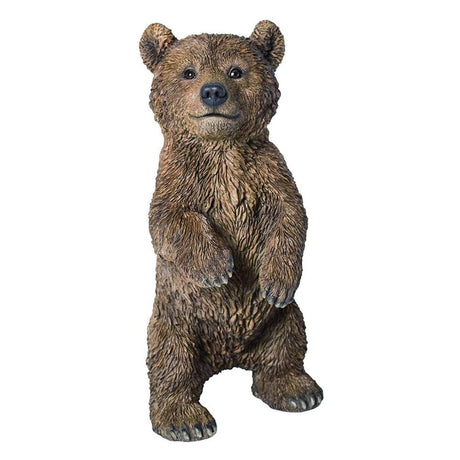 Vivid Arts 35cm Standing Bear Cub - XRL - BEAR - C - Old Railway Line Garden Centre