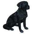 Vivid Arts 36cm Black Labrador - XRL - BLAB - B - Old Railway Line Garden Centre