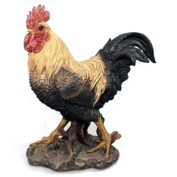 Vivid Arts 41cm Cockerel - XRL - CKRL - B - Old Railway Line Garden Centre