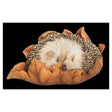 Vivid Arts Baby Hedgehog Sleeping On Leaf XRL - HH09 - F - Old Railway Line Garden Centre