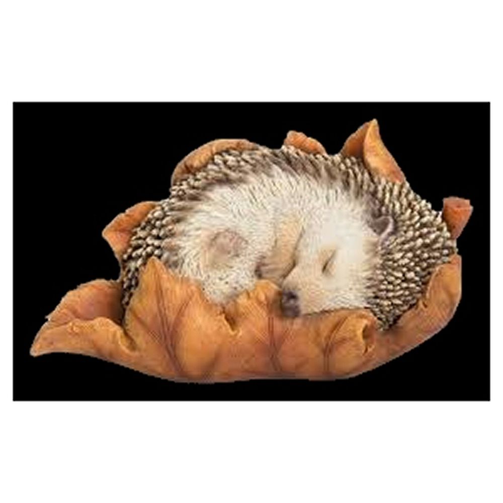 Vivid Arts Baby Hedgehog Sleeping On Leaf XRL - HH09 - F - Old Railway Line Garden Centre