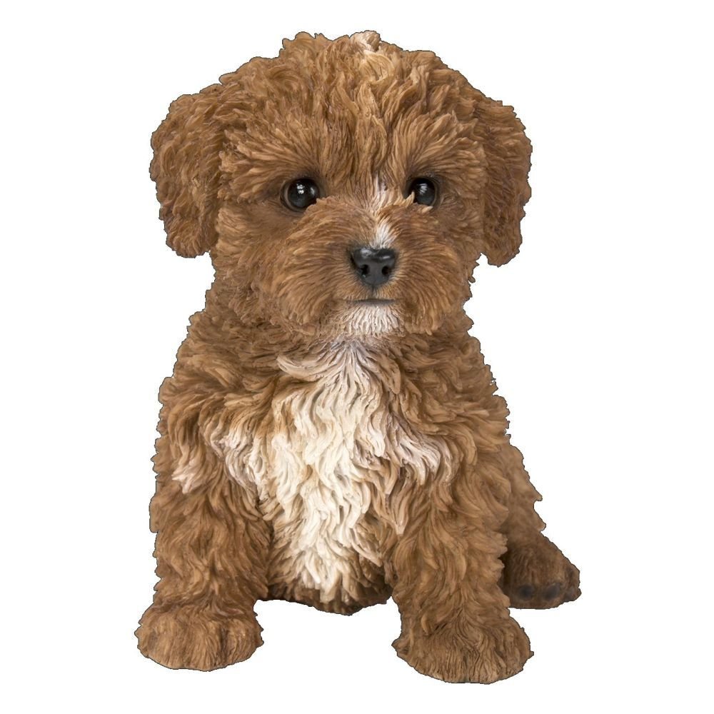 Vivid Arts Chocolate Cavapoo Pet Pals - PP - CAV7 - F - Old Railway Line Garden Centre