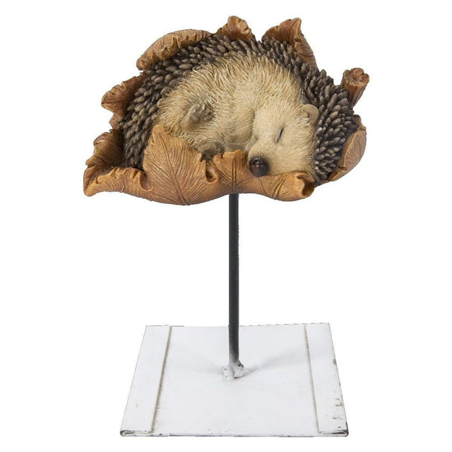 Vivid Arts Headgehog on Leaf Plant Pal - PLP - 134 - Old Railway Line Garden Centre