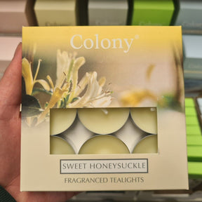 Wax Lyrical Colony Sweet Honeysuckle Tea Light Candles (Pack of 9) - Old Railway Line Garden Centre