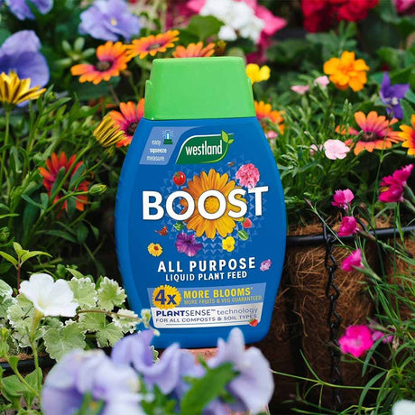 Westland 1 Litre Boost All Purpose Liquid Plant Food - Old Railway Line Garden Centre