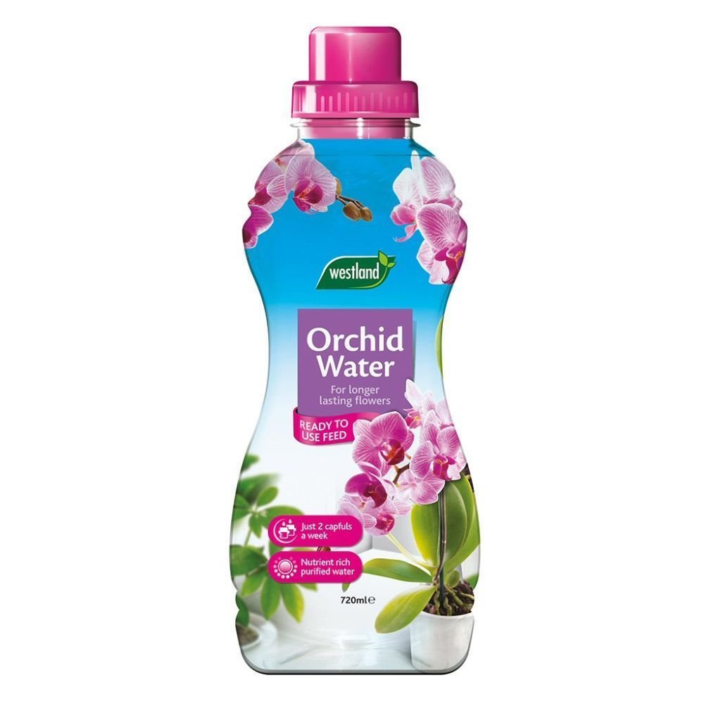 Westland 250ml Orchid Mist - Old Railway Line Garden Centre